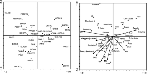 FIGURE 3. Redundancy analysis (RDA) covariance biplots showing the relationship between the 8 measured environmental variables with a statistically significant relationship to chironomid distributions and the 37 lakes (A) and the 38 chironomid taxa (B). Abbreviations for the chironomid taxa are: CHIRO—Chironomus; CLADO—Cladopelma; CLTAN—Cladotanytarsus mancus group; CORAM—Corynocera ambigua; COROL—Corynocera oliveri type, CORYN—Corynoneura; C/T—Corynoneura/Thienemanniella; C/O–CYL—Cricotopus/Orthocladius (C. cylindraceus type); C/O–TRE—Cricotopus/Orthocladius (C. tremulus type); C/O—Cricotopus/Orthocladius; DICRO—Dicrotendipes; ENDO—Endochironomus; EUKF—Eukiefferiella; GLYP—Glyptotendipes; HETER—Heterotrissocladius; MICRPS—Micropsectra atrofasciata type; MICRO—Microtendipes; NANO—Nanocladius; ORTHO—unknown Orthocladiinae; ORTHSPP—Orthocladius spp.; PAGA—Pagastiella; PAKB—Parakiefferiella cf. sp. B (CitationWalker, 1988); PAK367—Parakiefferiella Fig. 367 in Oliver and Roussel; PAKSPP—Parakiefferiella spp. (including P. nigra); PARAT—Paratanytarsus; PENT—Pentaneurini; POLY—Polypedilum; PROC—Procladius; PSECTEF—Psectrocladius E/F type (Fig. 9.61 E/F in Wiederholm); PSECTD—Psectrocladius D type (Fig. 9.61 D in Wiederholm); ALLOMES—Allo/Mesopsectrocladius; PSECT—Psectrocladius spp.; SERG—Sergentia; TANYT—Tanytarsina; TANYC—Tanytarsus sp. C; TANLU—Tanytarsus lugens group; TANLU/COROL—Tanytarsus lugens/Corynocera oliveri type; TANYP—Tanytarsus pallidicornis type