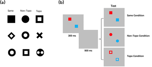 Figure 2 (a) Schematic depiction of the stimulus groups for Experiment 2 and (b) Schematic description of Experiment 2, the no-change pattern was presented in the first display and the no shape change, the non-topological change, or the topological change pattern was presented in the second display randomly.