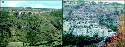 Figure 2. (a) Stratigraphic succession of the Siracusa Plateau (the dotted line represents the contact, partly covered by talus, between the Tellaro Formation, at the base and the Palazzolo Formation, at the top); and (b) Stratigraphic succession of the Ragusa Plateau (massively bedded calcarenites, at the base; calcarenites alternated with marls at the top).