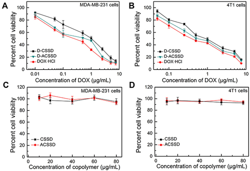 Figure 6 In vitro cytotoxicity of D-CSSD, D-ACSSD, DOX·HCl, blank CSSD and ACSSD micelles in (A and C) MDA-MB-231 and (B and D) 4T1 cells for 48 h.