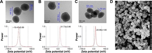 Figure 8 TEM images and ζ potentials.