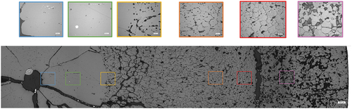 Fig. 2. Overview and details of the etched fuel cross section cut near the PPN after the xM3 power ramp.