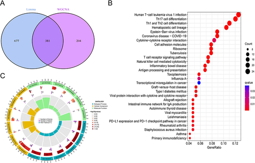 Figure 3 Enrichment analysis of sepsis-associated genes. (A)Intersection of the DEGs and modular genes of WGCNA. (B)Top 30 KEGG pathway. (C)Top 6 GO(GO-BP, CC, MF) pathway.
