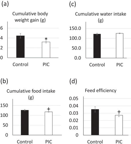 Figure 1. Effects of supplementation of the peels of immature Citrus tumida (PIC) on (a) cumulative body weight gain, (b) food intake, (c) water intake, and (d) feed efficiency (n = 6–7 in each group).Control: mice fed with AIN93G diet; PIC: mice fed with AIN93G supplemented with 5% PIC (w/w) diet. Data are expressed as mean ± SEM. †P < 0.10, *P < 0.05, **P < 0.01 versus control.