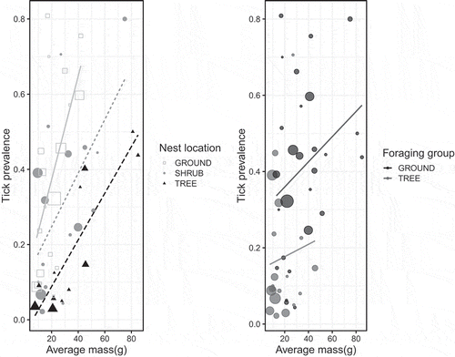 Figure 4. Tick prevalence as a function of average mass for a given bird species, coded by nesting location (ground versus shrub versus tree, left) and coded by foraging group (ground versus tree, right). Cavity nesting birds (N = 3) were removed from these plots but did not affect the results of regression analysis. Data points are scaled relative to the number of observations per species.