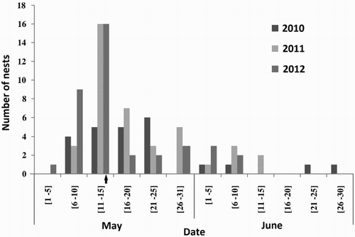 Figure 1. Temporal distribution of the date of laying the first egg by the Atlas Pied Flycatcher. The time of clutch initiation is arranged in five-day periods. The arrow indicates median LD for all years.