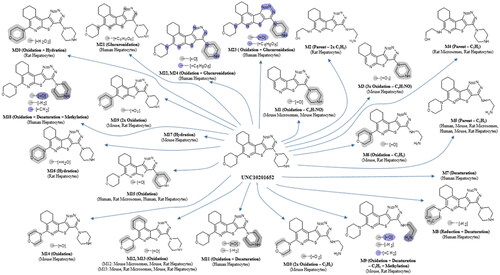 Figure 2. Proposed structures of metabolites of UNC10201652 detected in hepatocyte stability and microsomal stability assay samples. As glucuronidation usually occurs on nucleophilic functional groups these have been shown with Markush structures on the metabolite as possible sites of conjugation. Structure elucidation was not performed on metabolites M7 and M17 as no suitable MSMS data were obtained.
