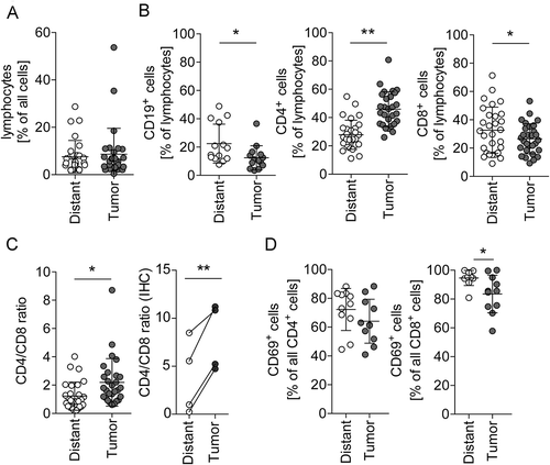 Figure 2. Lymphocyte subpopulations in distant mucosa and tumor tissue.(A) Flow cytometric quantification of lymphocytes in tumor-distant mucosa and tumor tissue (n = 29). (B) B and T cells were quantified from the lymphocyte population by CD19 (B cells, n = 14), CD4 (helper T cells, n = 29), and CD8 (cytotoxic T cells, n = 29). (C) Calculated CD4/CD8 cell ratio of the quantification shown in B (left, n = 29) and of IHC stained CD4 and CD8 tissue sections of four of the flow cytometry analyzed patients (right, n = 4). (D) T cells were analyzed for CD69 expression in distant mucosa and tumor tissue by flow cytometry (n = 11). Error bars show mean with SD; * p < 0.05, ** p < 0.01, *** p < 0.001