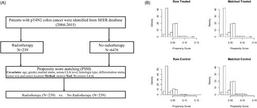 Figure 1. (A) Flow diagram of the PSM process. (B) Distribution of propensity score before and after propensity score analysis. Left upper and lower panel show the distribution of the propensity score for patients with receiving radiotherapy or without receiving radiotherapy before the matching procedure. Right upper and lower panel demonstrate the distribution of the propensity score after full propensity score matching.