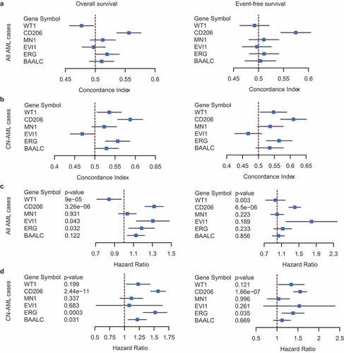 Figure 7. Predictive performance of CD206 for OS and EFS compared with classical prognostic markers (BAALC, ERG, EVI1, MN1, and WT1). (a and b) Forest plot reporting the overall concordance indices for the six genes in all AML cases (a) and CN-AML cases (b). The concordance indices were combined for datasets with OS information (left) and EFS information (right), respectively. (c and d) Forest plot reporting the overall hazard ratios and p-values for the six genes in all AML cases (c)and CN-AML cases (d). The hazard ratios and p-values were combined for datasets with OS information (left) and EFS information (right), respectively. The p-values were computed from Cox regression analysis in each dataset and combined using the weighted Z-method. Results for individual genes in each dataset were provided in Figure S13–16