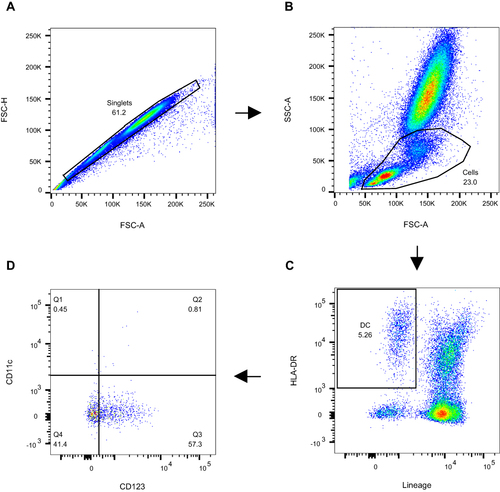 Figure 1 A representative gating strategy for the DC assay. A total of 150,000 cellular events were acquired from 0.1 mL of whole blood. (A) Apoptotic cells and duplicates were excluded based on forward scatter and side scatter characteristics. (B) The first gate was set on the lymphocyte and monocyte area. (C) The second gate was set on lineage− and HLA-DR+ cells. (D) The pDCs were identified as Lineage−HLA-DR+CD123+CD11c− (Q3); the cDC2-like cells were identified as Lineage−HLA-DR+CD123+CD11c+ (Q2); the pre-cDCs were identified as Lineage−HLA-DR+CD123−CD11c+ (Q1).