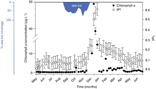 Fig. 4  Comparison of dynamics of chl a concentrations and pH measured from the immediate vicinity of Palmer Station by month for one year (May 2012–May 2013, compiled from the Palmer LTER Data Repository). Maximum sea-ice coverage was 76%. Error bars represent measurement uncertainties.