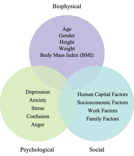 Figure 1 The biopsychosocial model.