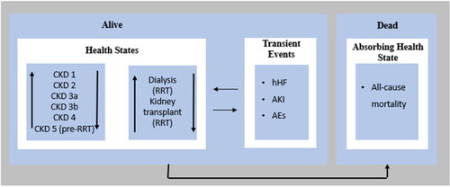 Figure 1. The model structure for CKD patients. Abbreviations. CKD, chronic kidney disease; RRT, renal replacement therapy; hHF, hospitalization due to heart failure; AKI: acute kidney injury; AEs, adverse events.