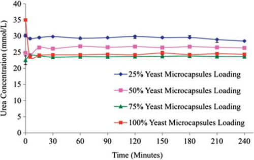 Figure 2. The efficacy of various yeast APA microcapsules loadings in plasma urea removal at a high flow rate 3.33 mL/min. The figure shows that higher the loading is, the greater the urea breakdown will be.