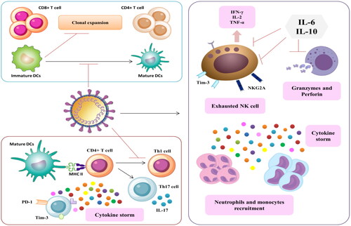 Figure 3. The interplay between SARS-CoV-2 and host immune cells in severe COVID-19 infection.