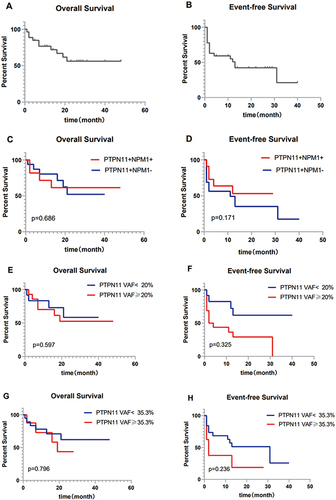 Figure 2 Survival analysis of thirty PTPN11 mutated AML patients. (A) Kaplan–Meier curve of OS in thirty PTPN11 mutated AML patients; (B) Kaplan–Meier curve of EFS in thirty PTPN11 mutated AML patients; (C) Kaplan–Meier curve of NPM1 mutations in OS of thirty PTPN11 mutated AML; (D) Kaplan–Meier curve of NPM1 mutations in EFS of thirty PTPN11 mutated AML; (E) Kaplan–Meier curve of PTPN11 mutated AML patients OS between low VAF value (<20%) and high VAF value (≥20%); (F) Kaplan–Meier curve of PTPN11 mutated AML patients EFS between low VAF value (<20%) and high VAF value (≥20%); (G) Kaplan–Meier curve of PTPN11 mutated AML patients OS between low VAF value (<35.3%) and high VAF value (≥35.3%); (H) Kaplan–Meier curve of PTPN11 mutated AML patients EFS between low VAF value (<35.3%) and high VAF value (≥35.3%).