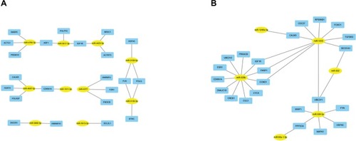 Figure 6 MiRNA–hub gene networks. (A) For upregulated miRNAs; (B) for downregulated miRNAs.