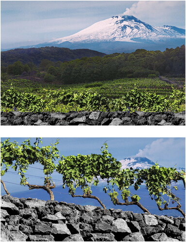 Figure 1. Views of Etna terracing landscape.
