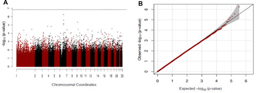 Figure 2 Manhattan (A) and Q-Q (B) plots for GWAS analysis of early COPD based on the GENIE cohort.