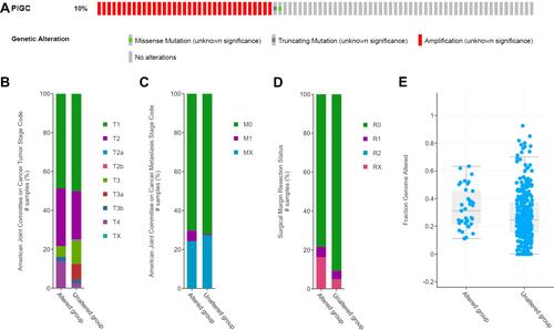 Figure 6 PIGC gene mutation rate and its clinical relevance in liver cancer. (A) The mutation rate of PIGC is 10%. PIGC mutation is significantly correlated with T stage (B), M stage (C), surgical margin resection status (D), and fraction genome alteration (E).