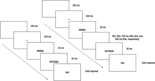 Figure 1. Sequence of trials in the category semantic priming task with the short 100-ms SOA (left) and the long 450-, 650- and 850-ms SOAs (right).