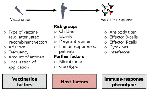 Figure 1. Selected factors for a successful vaccination.