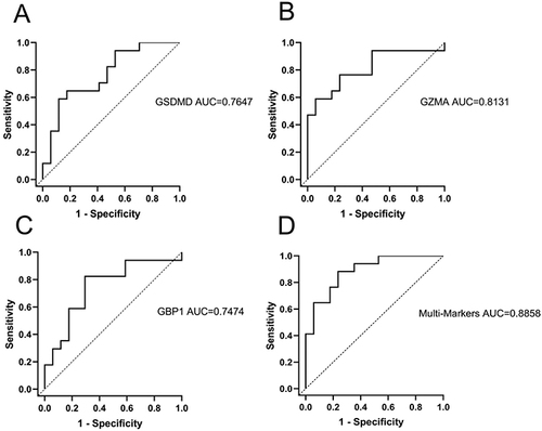 Figure 9 ROC curves analysis of Positive rate of immunohistochemical results in SS patients. (A) GSDMD, (B) GZMA, (C) GBP1, (D) Multi-Markers predicted probability including GSDMD, GZMA, and GBP1.