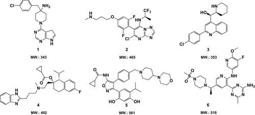 Figure 3. Chemical structures and molecular weight of small candidate molecules (1–6) with promising anti-GBM activity in vivo.