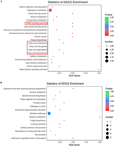 Figure 7 KEGG pathway enrichment analysis of differential metabolites between the Pneumocystis-infected WT mice and Pneumocystis-infected BAFF-R–/– mice. (A) Positive and (B) negative ion modes.