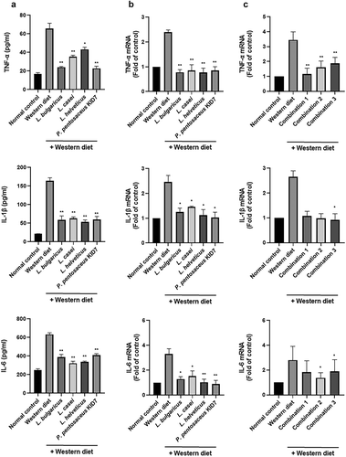 Figure 7. Probiotics block proinflammatory cytokines. (a) Enzyme-linked immunosorbent assay. (b and c) Real-time reverse transcription-polymerase chain reaction.