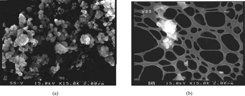 FIG. 4 SEM images of MS2 agglomerates: (a) suspensions in solution, (b) airborne virion particles after nebulization.