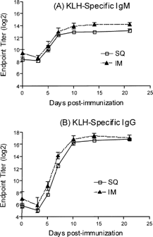 FIG. 1. Comparing routes of KLH immunization. Groups of dogs were immunized with KLH (50 mg/dog) by the subcutaneous (SC) and intramuscular routes (IM) and the KLH-specific IgM (A) and IgG (B) antibody titers were determined 3, 5, 7, 10, 14, and 21 days post-immunization. Values represent the mean ± SEM. n = 4 dogs/group.