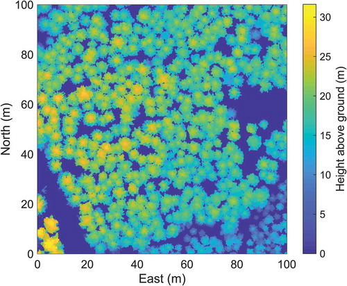 Figure 3. Example of a Canopy Height Model (CHM) created by assigning a raster cell value the maximum laser-measured distance above the ground (m) within the raster cell.