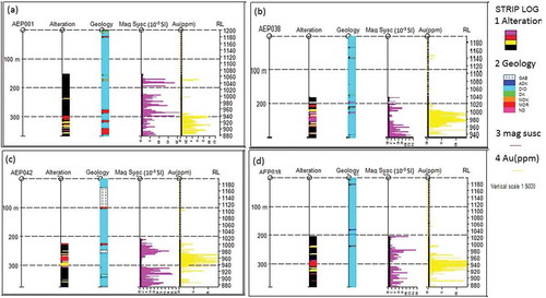 Figure 4. Strip log plots of rock alteration, geology, gold assay, and magnetic susceptibility of drilled hole (a) AEP01, (b) AEP04, (c) AEP08 and (d) AEP12.