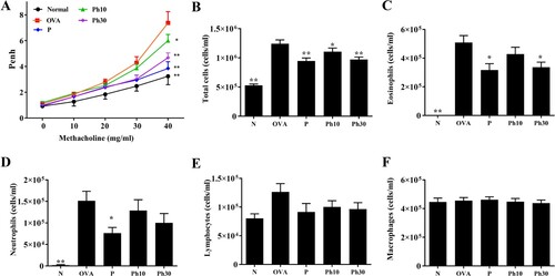 Figure 2. Effects of phillyrin (Ph) on airway hyperresponsiveness (AHR) and cell counts in bronchoalveolar lavage fluid (BALF) of asthmatic mice. (A) Mice inhaled increasing doses of methacholine, and AHR was assessed (shown as Penh values). (B–F) The inflammatory cells in BALF were counted, including total cells (B), eosinophils (C), neutrophils (D), lymphocytes (E), and macrophages (F). Three independent experiments were analysed. Data are presented as mean ± SEM. *P < 0.05, **P < 0.01 compared to the OVA control group.