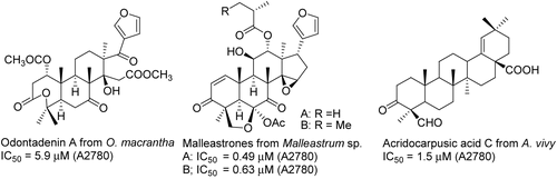 Figure 8.  Structures of triterpenoids.