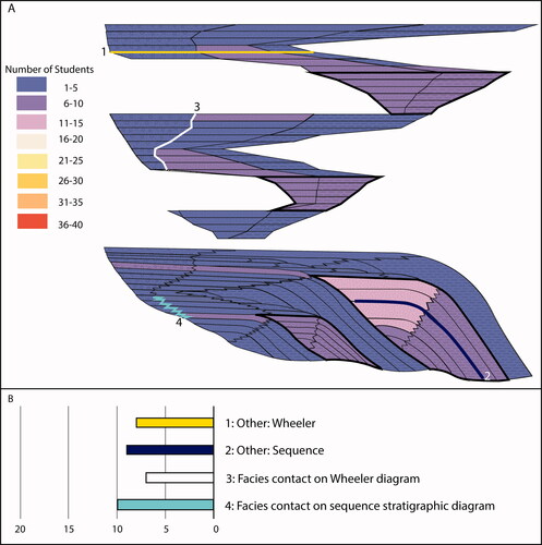 Figure 14. Posttest correlative conformities. The number of students who identified each facies as a conformable unit that was deposited during the simultaneous erosional unconformity surface (A). Correct units are outlined in black. The number of students who did things other than color a facies on the Wheeler diagram (1) and the sequence diagram (2), or who highlighted a facies contact on the Wheeler diagram (3) and the sequence diagram (4; B).