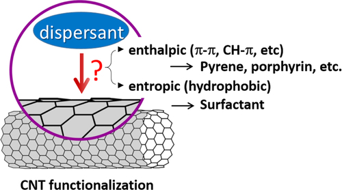 Figure 2. Dispersant-CNT interactions.