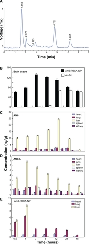 Figure 2 Amphotericin B (AmB) levels in various tissues following injections of AmB, amphotericin B-polybutylcyanoacrylate nanoparticles (AmB-PBCA-NPs), or amphotericin B liposome (AmB-L). A) High-performance liquid chromatogram showing the presence of AmB in brain tissue. The detection limit of AmB was 10 ng/mL, and the interday and intraday coefficients of variation were 5% or less between 5 ng/mL and 200 ng/mL. B) AmB was not detected in the brain tissue of mice treated with noncomplexed AmB but was found 30 minutes after AmB-PBCA-NP treatment and 3–6 hours after AmB-L treatment (n = 28/group). C–D) The concentration of AmB in various tissues is shown after AmB, AmB-L, and AmB-PBCA-NP treatment, respectively (n = 28). AmB was concentrated mainly in the liver; note also the higher lung concentration when using AmB-PBCA-NPs.