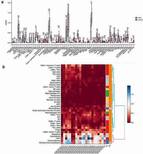 Figure 2. Immune cell infiltration analysis by xCell in the tubulointerstitium of DKD. (a) Comparison of xCell scores of 64 cell types in the tubulointerstitium between DKD and control renal tissue in the GSE30529 dataset. (b) The cellular landscape of immune microenvironment in DKD. The heatmap represents cell type enrichment score of each immune cell type for all samples. DC, dendritic cell; Tcm, central memory T cell; Tem, effective memory T cell; Tγδ cell, gamma delta T cell