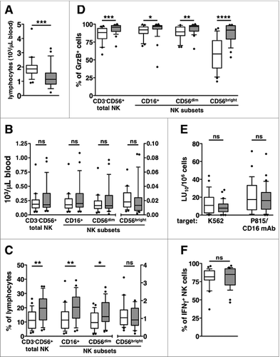 Figure 1. Phenotypic and functional assessment of the peripheral NK cell compartment in DLBCL patients at diagnosis. Peripheral blood mononuclear cells PBMCs of newly diagnosed diffuse large B cell lymphoma (DLBCL) patients (gray boxes) and healthy age- and sex-matched controls (empty boxes) were analyzed for: (A) total lymphocyte counts, (B) natural killer (NK) cell subset absolute counts, and (C) NK cell subsets as a percentage of lymphocytes. (D) The percentage of Granzyme B-positive (GrzB+) cells was calculated within each NK cell subset. (E) “Natural” (anti-K562) and CD16-dependent (anti-P815 + anti-CD16 monoclonal antibody [mAb]) cytotoxic activities are expressed in lytic units at 10% cytotoxicity/106 PBMC. (F) The percentage of interferon γ (IFNγ)-producing cells was calculated on gated CD3-CD56+ NK cells. Bars represent median gated CD3-CD56+ NK cells. Bars represent median and 10–90 percentile; dots represent outliers. *P <0.05, **P ≤ 0.01, ***P < 0.0005, ****P = 0.000001.