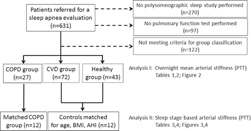 Figure 1. Study flow chart. From a pool of polysomnographic sleep studies two analyses have been performed in the current study: Analysis 1 targteted overnight PPT in 142 patients divided in 3 subgroups; analysis 2 targeted sleep stage based PPT analysis performed in 12 COPD patients and 12 matched controls.