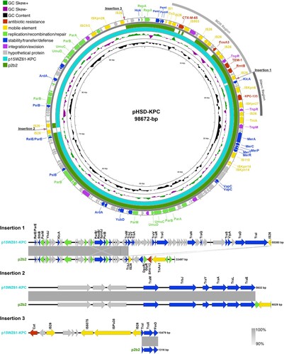 Figure 3. Comparative plasmid map of pK. pneumoniae HSD-KPC, p2b2, and p15WZ61-KPC. From the inside to the outside circles: circle 1, scale; circle 2, GC content; circle 3, GC Skew; circle 4, ring diagram of p15WZ61-KPC (GenBank accession number ON777848); circle 5, ring diagram of p2b2 (GenBank accession number CP034125); circle 6, functionally classified genes. MDR, blaKPC, and insertion regions of aligned sequences have been annotated.