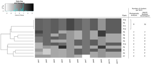 Figure 2. Dendrogram with the heat map depicting relatedness of the farms according to their biosecurity measures and management practices together with the number of Gallibacterium clusters per farm. Construction of the dendrogram and the heat map was done using the values of each epidemiological parameter per farm. Epidemiological parameters used for the analyses were: par1 = number of flocks per farm; par2 = farm owns the hatchery/ contract hatching, one source/ contract hatching, multiple sources; par3 = farm rears their pullets/ pullets are imported; par4 = farm owns a feed mill/farm uses external feed mill; par5 = multiple species on farm/one species on farm; par6 = obligatory change of clothes and footwear upon entering the farm; par7 = obligatory showering before entering the farm; par8 = workers designated to a specific floc; par9 = seasonal workers; par10 = downtime period ≥14 days/ <14 days; par11 = obligatory cleaning and disinfection during downtime. Detailed description of the epidemiological parameters is available in the supplementary material (Supplementary Table S2).