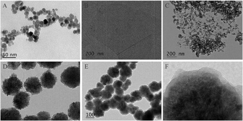 Figure 1. Characterization of as-prepared adsorbent: TEM images of Fe3O4 prepared by co-precipitation method (A), GO (B), Fe3O4-GO (C), Fe3O4 prepared by solvothermal method (D), and Fe3O4@NH2 (E, F).