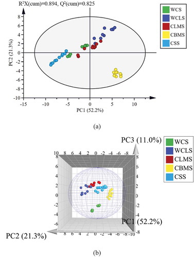 Figure 1. The PCA scores plot (a) and three-dimensional scores plots (b) for 5 kinds of chicken soup (WCS, whole chicken soup; WCLS, whole chicken leg soup; CLMS, chicken leg meat soup; CBMS, chicken breast meat soup; CSS, chicken skeleton soup)