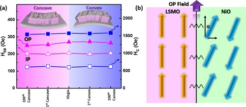 Figure 5. (a) The HEB and HC values with or without bending conditions; (b) schematic illustration to show the magnetic spin construction at the LSMO/NiO interface.