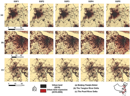 Figure 7. Simulated patterns of three large urban agglomerations in 2050 under 5 SSP scenarios. Urban expansion mainly occurs at the edges of highly urbanized areas, exhibiting an agglomeration phenomenon.