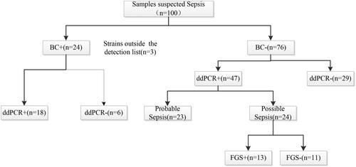Figure 2. Flow chart for patient enrolment and results analysis. (i) Probable sepsis: ddPCR result was concordant with a microbiological test performed within 7 days of sample collection from other extra-blood site, ‘Day 0’ is defined as the day of the ddPCR blood sample collection; (ii) Possible sepsis: without microbiological data but ddPCR result had potential for pathogenicity based on clinical presentation and laboratory findings.